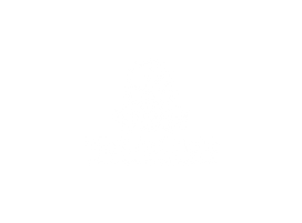 PREPARANOID
